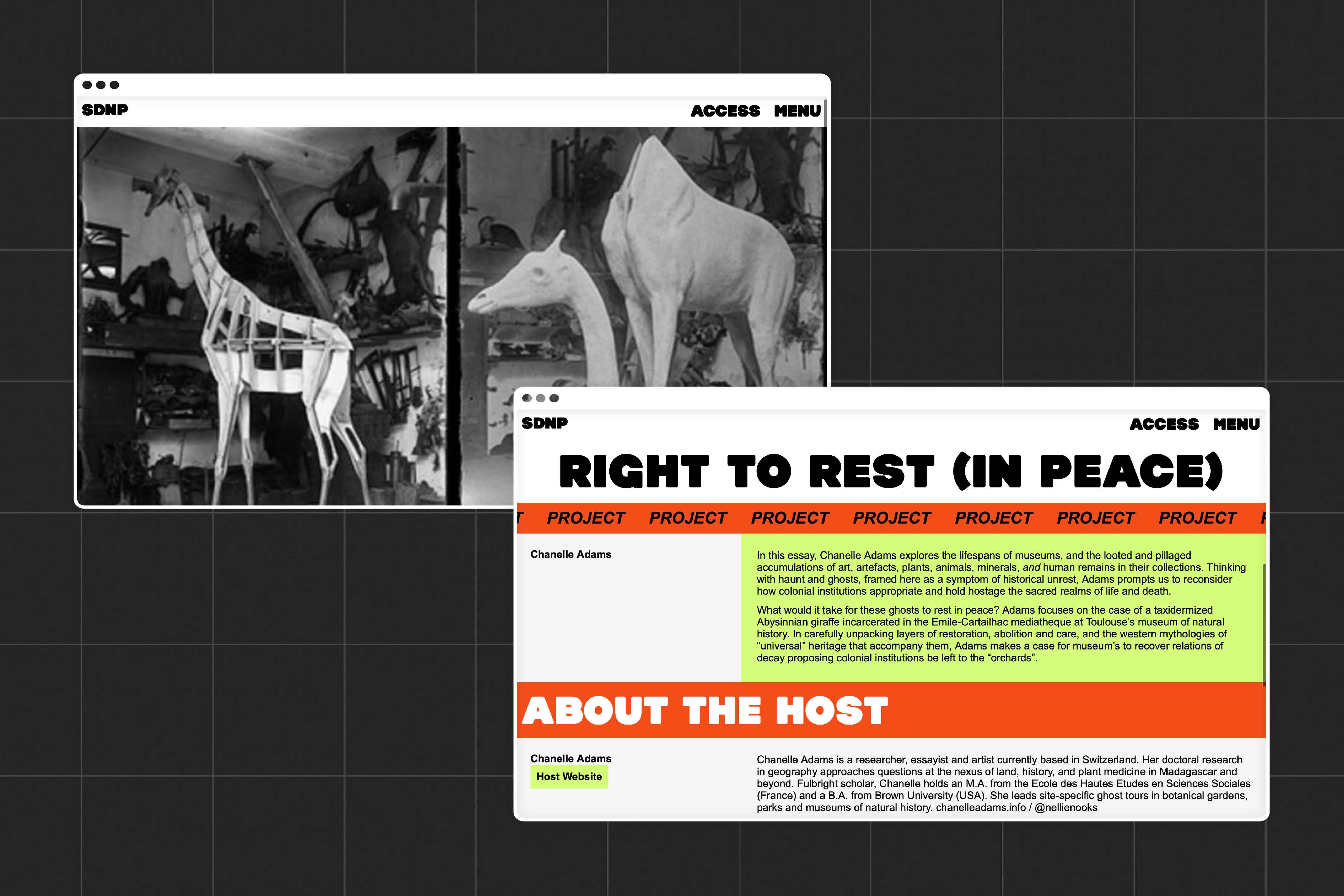 Two further images showing a project which was  part of the SDNP festival, the one on display here uses an image of a taxidermy giraffe, and is entitled 'Right to Rest (in Peace)'. The second image on display shows information about the project and the project host