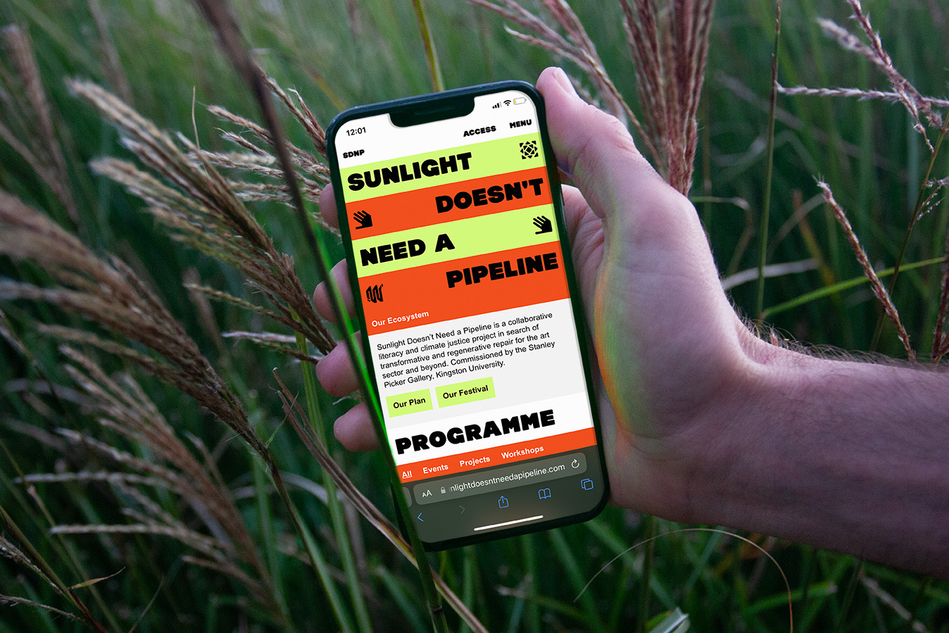 alt: A hand holding a phone in front of some long grass, displayed on the phone is the Sunlight Doesn't Need a Pipeline mobile website.